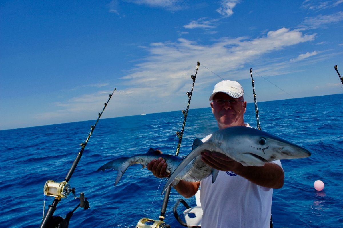 Shark Fishing Image