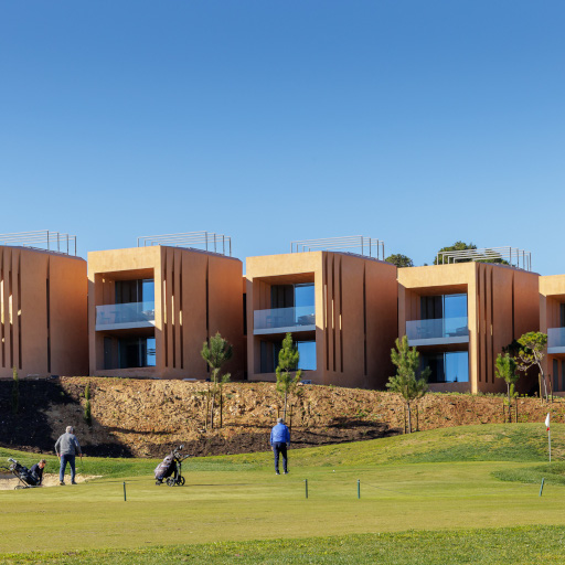 5N, 3R Palmares Links Image
