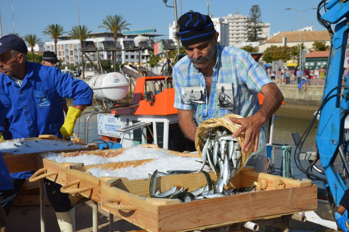 Portimão Sardine Festival Image