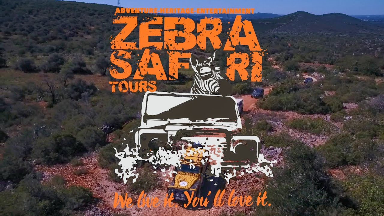 Zebra Safari Tours Image