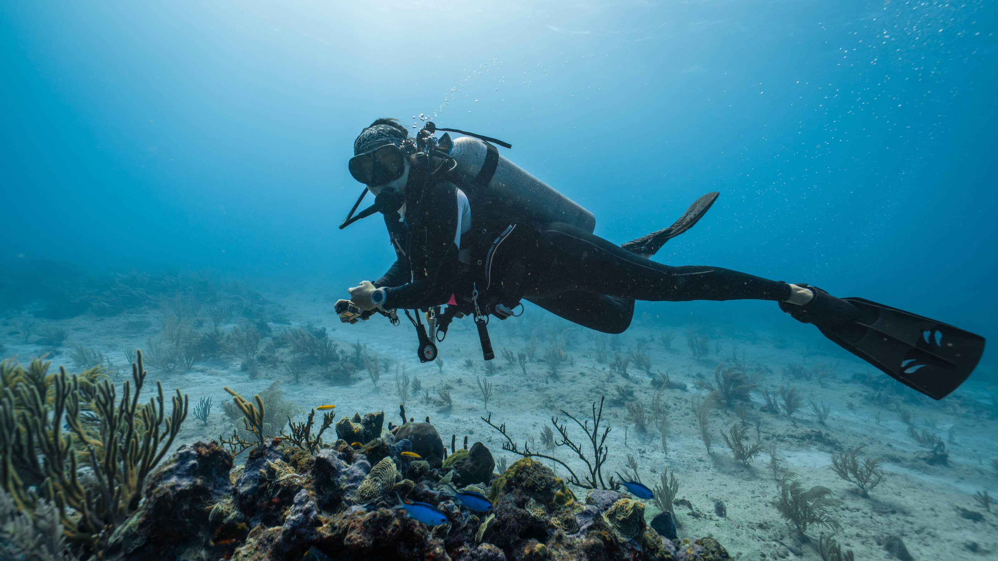 Scuba Diving Image